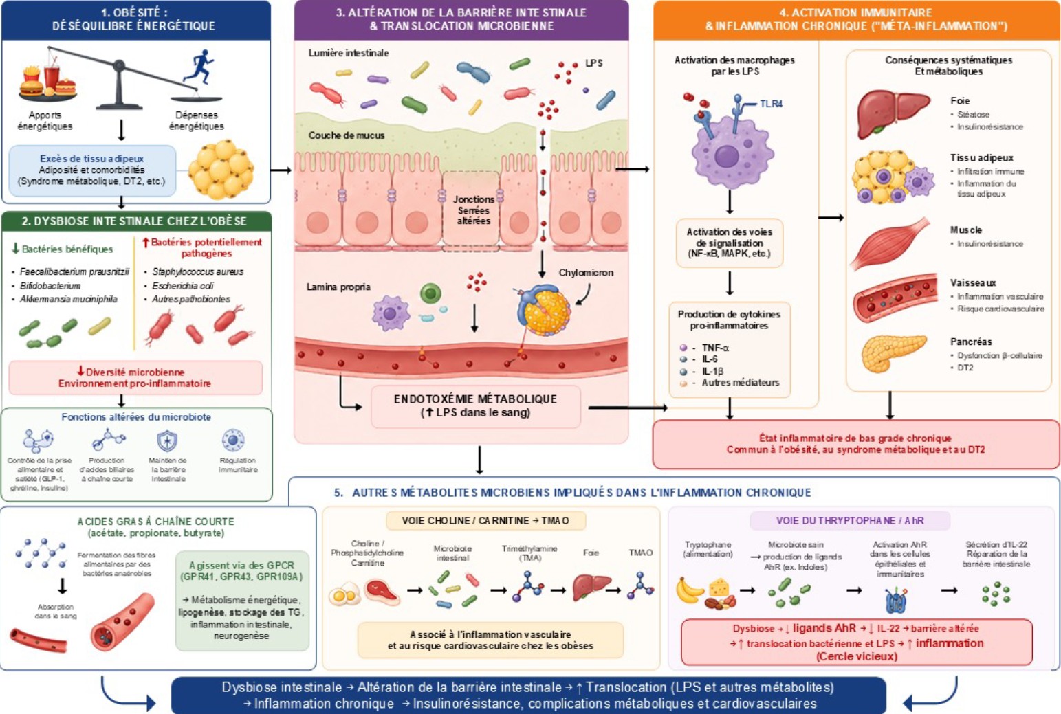 Figure_1_Rev_Trib_K_IMID_2026_1_2_57-70