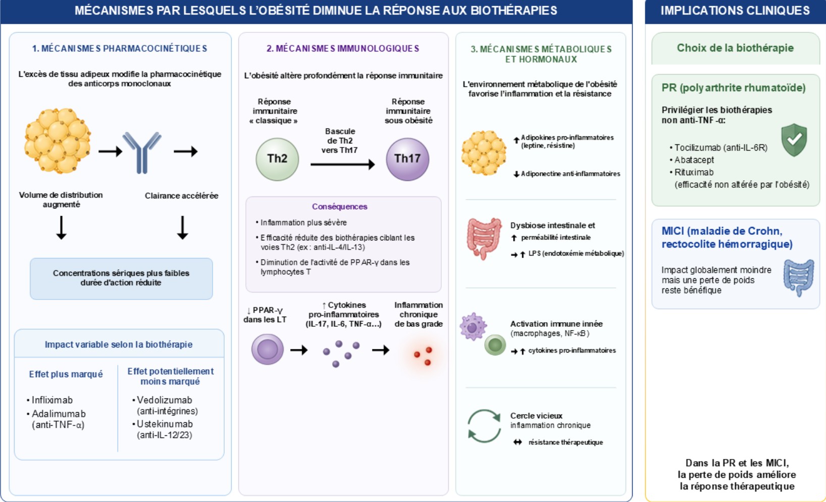 Figure_2_Rev_Trib_K_IMID_2026_1_2_57-70
